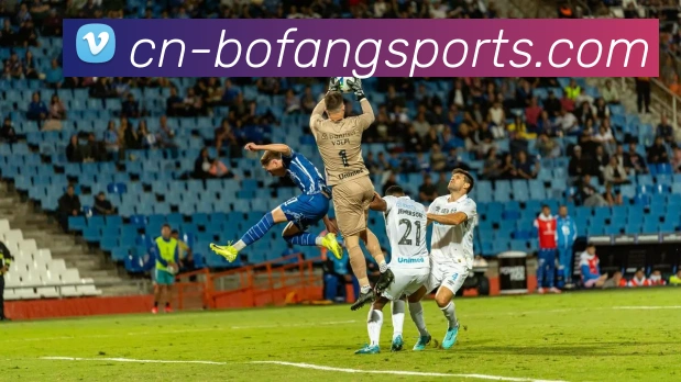 体育下注全站App